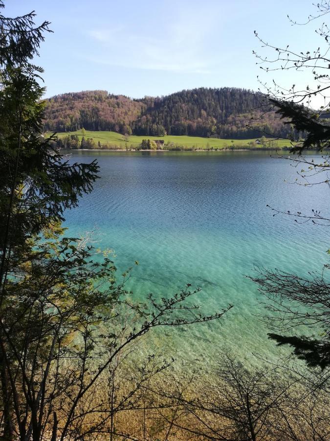 Appartementhaus Grill Strobl Exteriör bild